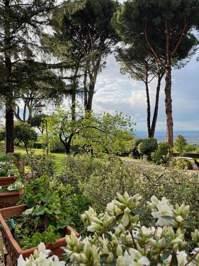 Appartamento Castelli Romani - Con Vista Su Roma Monte Porzio Catone Екстериор снимка
